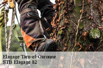 Elagage 82 Tarn-et-Garonne  STB Elagage 82