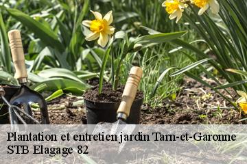 Plantation et entretien jardin 82 Tarn-et-Garonne  STB Elagage 82