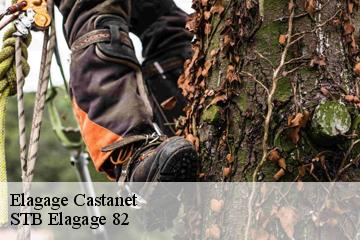 Elagage  castanet-82160 STB Elagage 82