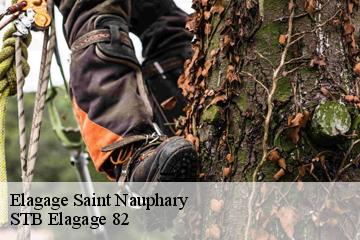 Elagage  saint-nauphary-82370 STB Elagage 82