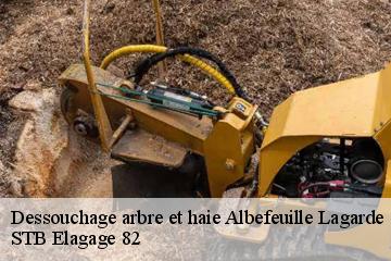 Dessouchage arbre et haie  albefeuille-lagarde-82290 STB Elagage 82