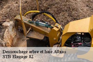 Dessouchage arbre et haie  albias-82350 STB Elagage 82