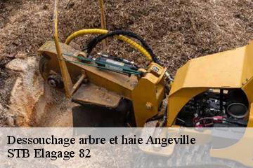 Dessouchage arbre et haie  angeville-82210 STB Elagage 82