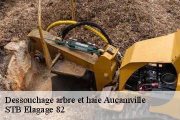 Dessouchage arbre et haie  aucamville-82600 STB Elagage 82