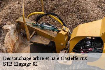 Dessouchage arbre et haie  castelferrus-82100 STB Elagage 82