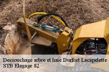 Dessouchage arbre et haie  durfort-lacapelette-82390 STB Elagage 82