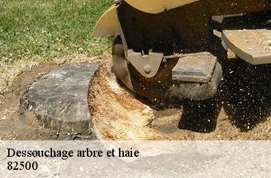 Dessouchage arbre et haie  82500