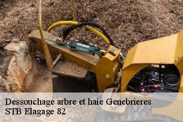 Dessouchage arbre et haie  genebrieres-82230 STB Elagage 82