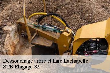 Dessouchage arbre et haie  lachapelle-82120 STB Elagage 82