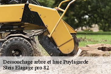 Dessouchage arbre et haie  puylagarde-82160 Steis Elagage pro 82