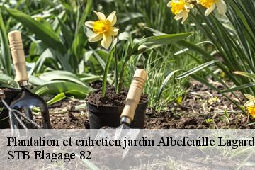 Plantation et entretien jardin  albefeuille-lagarde-82290 STB Elagage 82