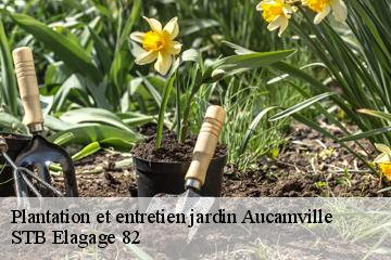 Plantation et entretien jardin  aucamville-82600 STB Elagage 82