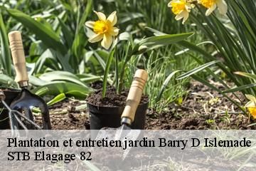 Plantation et entretien jardin  barry-d-islemade-82290 STB Elagage 82