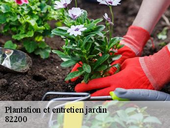 Plantation et entretien jardin  82200