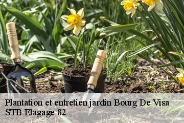 Plantation et entretien jardin  bourg-de-visa-82190 STB Elagage 82