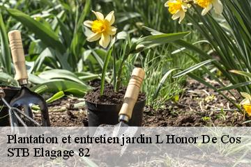 Plantation et entretien jardin  l-honor-de-cos-82130 STB Elagage 82