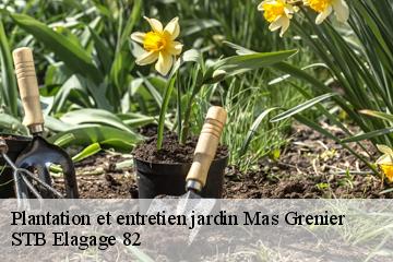 Plantation et entretien jardin  mas-grenier-82600 STB Elagage 82