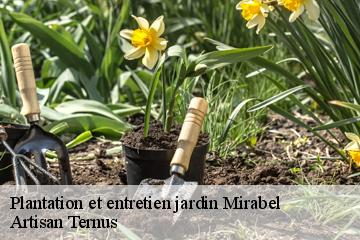 Plantation et entretien jardin  mirabel-82440 Artisan Ternus