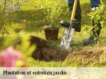 Plantation et entretien jardin