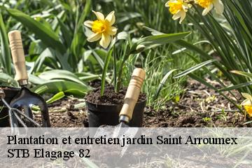 Plantation et entretien jardin  saint-arroumex-82210 STB Elagage 82