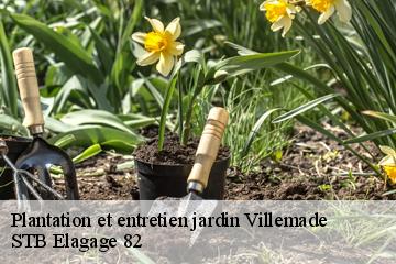 Plantation et entretien jardin  villemade-82130 STB Elagage 82