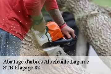 Abattage d'arbres  albefeuille-lagarde-82290 STB Elagage 82