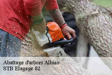 Abattage d'arbres  albias-82350 STB Elagage 82