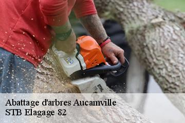 Abattage d'arbres  aucamville-82600 STB Elagage 82