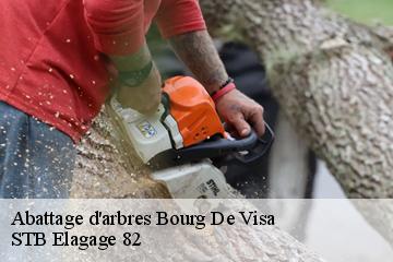 Abattage d'arbres  bourg-de-visa-82190 STB Elagage 82