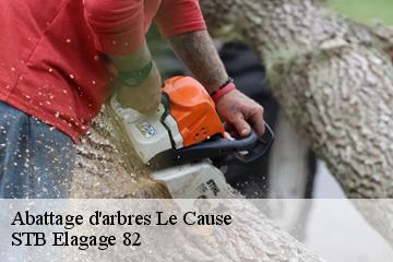 Abattage d'arbres  le-cause-82500 STB Elagage 82