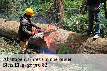 Abattage d'arbres  comberouger-82600 STB Elagage 82