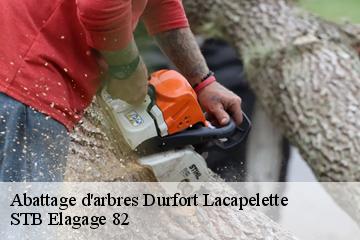 Abattage d'arbres  durfort-lacapelette-82390 STB Elagage 82