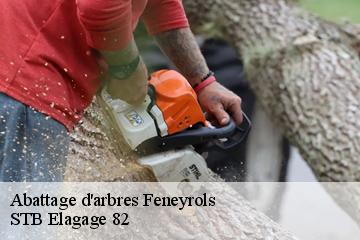 Abattage d'arbres  feneyrols-82140 STB Elagage 82