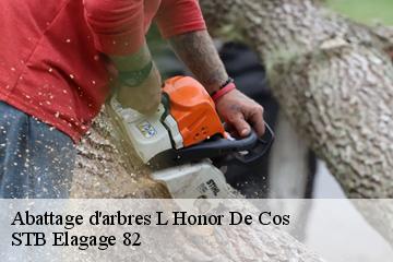 Abattage d'arbres  l-honor-de-cos-82130 STB Elagage 82