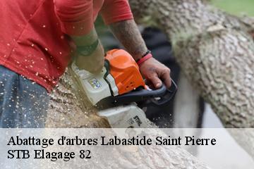 Abattage d'arbres  labastide-saint-pierre-82370 STB Elagage 82