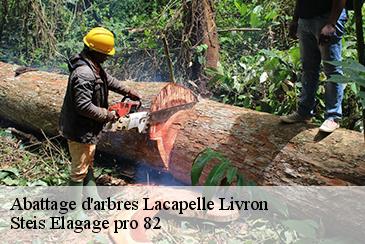 Abattage d'arbres  lacapelle-livron-82160 Steis Elagage pro 82