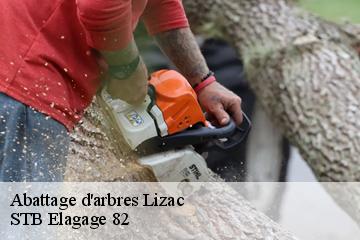 Abattage d'arbres  lizac-82200 STB Elagage 82