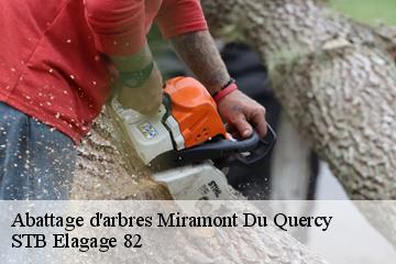 Abattage d'arbres  miramont-du-quercy-82190 STB Elagage 82