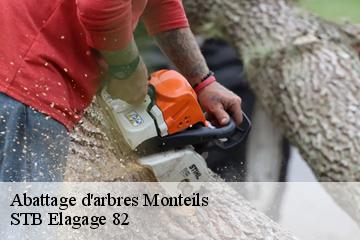 Abattage d'arbres  monteils-82300 STB Elagage 82