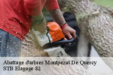 Abattage d'arbres  montpezat-de-quercy-82270 STB Elagage 82