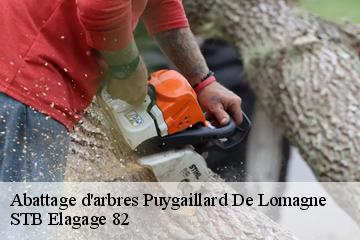 Abattage d'arbres  puygaillard-de-lomagne-82120 STB Elagage 82