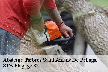 Abattage d'arbres  saint-amans-de-pellagal-82110 STB Elagage 82