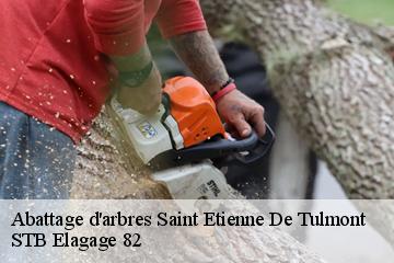 Abattage d'arbres  saint-etienne-de-tulmont-82410 STB Elagage 82