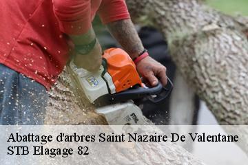 Abattage d'arbres  saint-nazaire-de-valentane-82190 STB Elagage 82