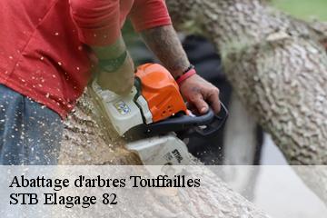 Abattage d'arbres  touffailles-82190 STB Elagage 82