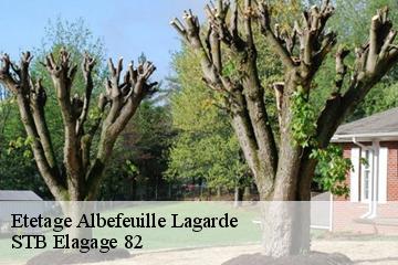 Etetage  albefeuille-lagarde-82290 STB Elagage 82