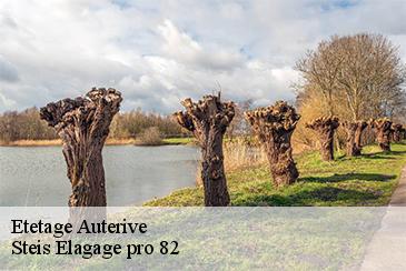 Etetage auterive-82500 Steis Elagage pro 82