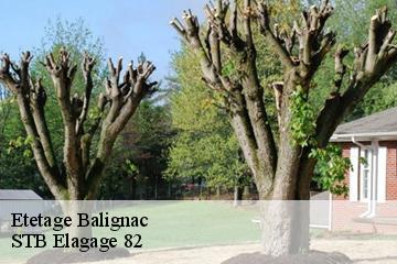 Etetage  balignac-82120 STB Elagage 82