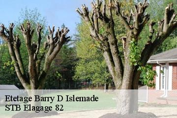 Etetage  barry-d-islemade-82290 STB Elagage 82