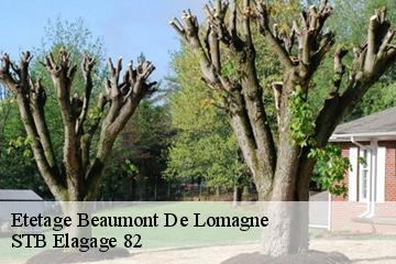 Etetage  beaumont-de-lomagne-82500 STB Elagage 82